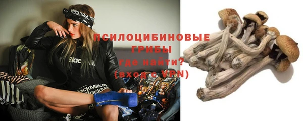 ешки Алексин