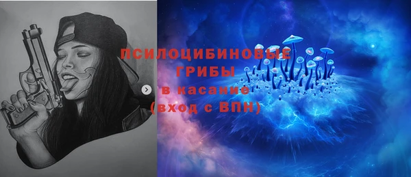 ешки Алексин