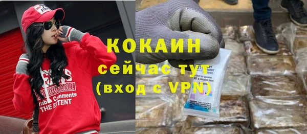 ешки Алексин