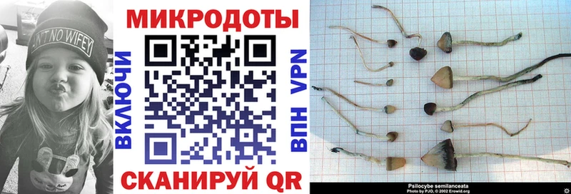 Галлюциногенные грибы GOLDEN TEACHER  даркнет сайт  Багратионовск 
